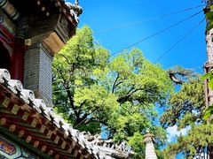 -潭柘寺景区