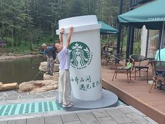 -汤旺河林海奇石景区
