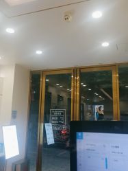 -YESIDO椰岛造型