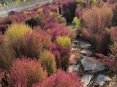 -天津东丽湖风景区