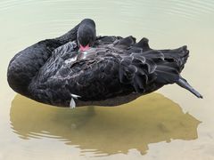 -广州白江湖森林公园