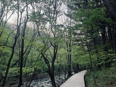 -关门山森林公园
