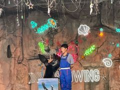 -灵玲国际马戏城