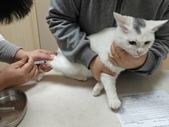 -瑞鹏宠物医院·超声·骨科·奇麟分院(蜀都万达店)