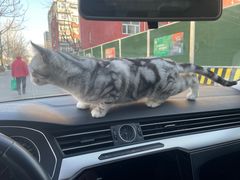 -一嗨租车(回龙观店)