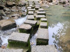 -广州白江湖森林公园