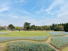 -上海滨江森林公园