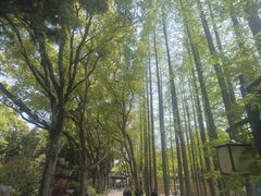 -上海醉白池公园