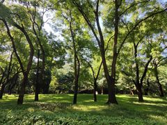 -元大都城垣遗址公园