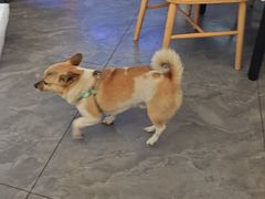 -启东小海鲜(庄先湾路1号店)