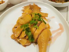 白切鸡半只-潮州府·潮菜·砂锅粥(徐家汇店)
