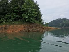-千岛湖城中湖游船码头