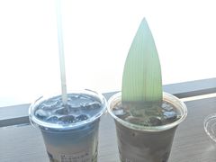 -抱抱地球咖啡馆(国家海洋博物馆店)