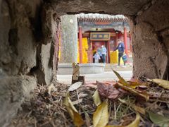-潭柘寺景区