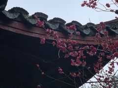 -杭州黄龙洞