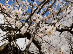 -北陵公园
