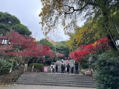 -岳麓山风景名胜区