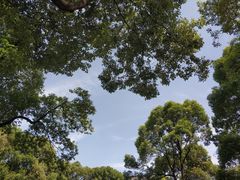 -四川大学(望江校区)