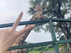 -沈阳森林动物园