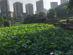 -龙头寺公园