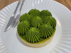 抹茶挞-猫里有甜