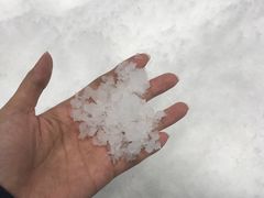 -Mr·Kuma酷么先生雪之乐园