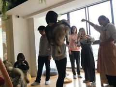 -Husky Go! 哈士奇体验馆·宠物咖啡厅狗咖