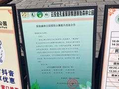-西双版纳原始森林公园
