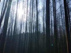 -山王坪喀斯特国家生态公园