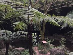 -峨眉山报国寺