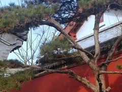 -西安市广仁寺
