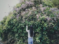 -宝界山林公园
