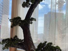 -文三酒肆自助放题(新街口友谊广场店)