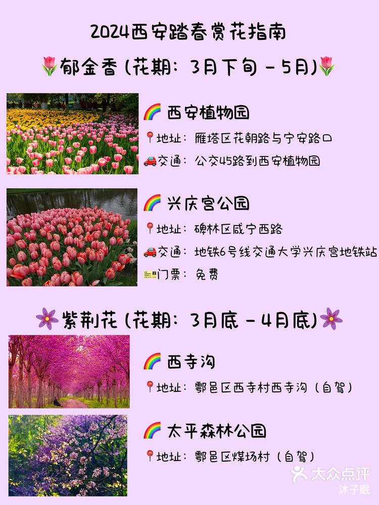 22:42 关注 94西安春日踏青赏花好去处94不能没人知道 春天来了