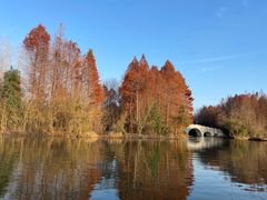 -溱湖国家湿地公园