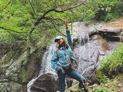 -王顺山国家森林公园