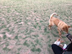 -风云岭森林公园