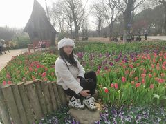 -秀丽东方