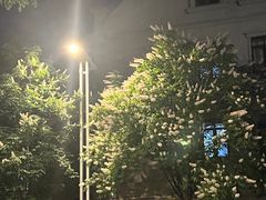 -上海徐家汇天平宾馆