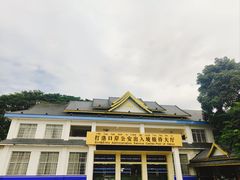 -打洛口岸
