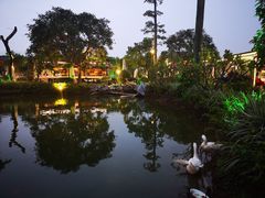 -花溪雨·森林餐厅(石基店)