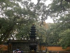 -普陀山风景名胜区-法雨禅寺