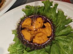 -添福来墨鱼饺子 · 海鲜东北菜(大连星海·黄浦路店)