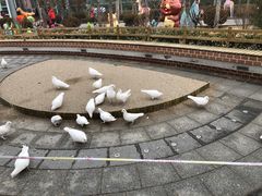 -南宫五洲植物乐园