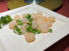 -上海新锦江大酒店