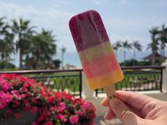 -大堂酒廊·亚龙湾万豪度假酒店