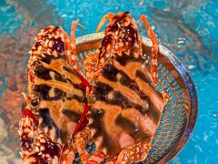 -铭门盛宴·艺术海鲜姿造(福田黑金店)