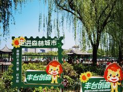 -莲花池公园