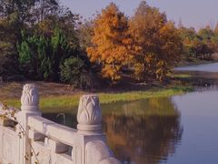 -上海海湾国家森林公园