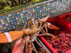 -巽寮印象美食部落餐厅·海鲜·地方特色菜(惠州体验店)